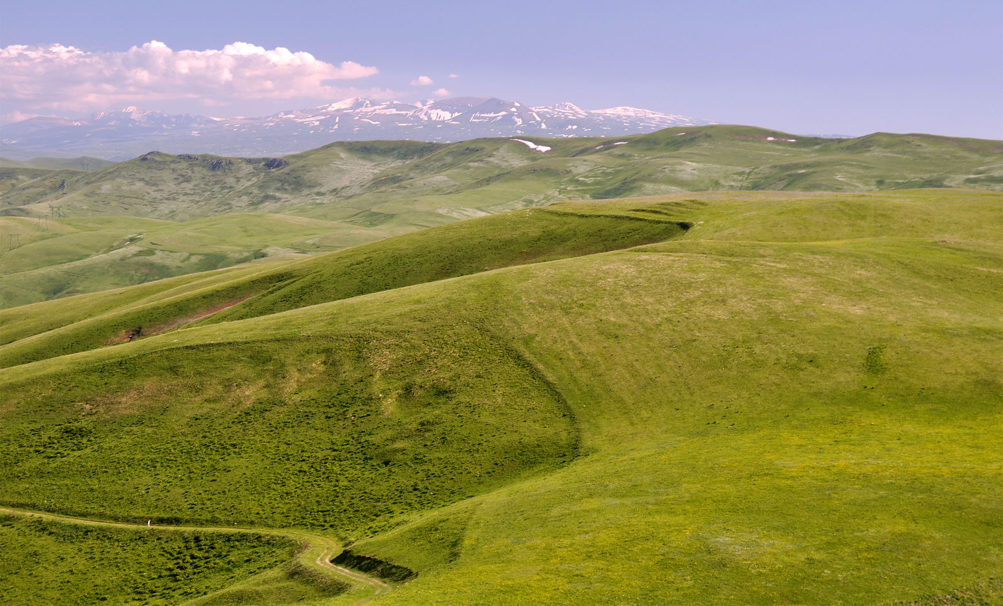 Mountain meadows in Semyonovka environs