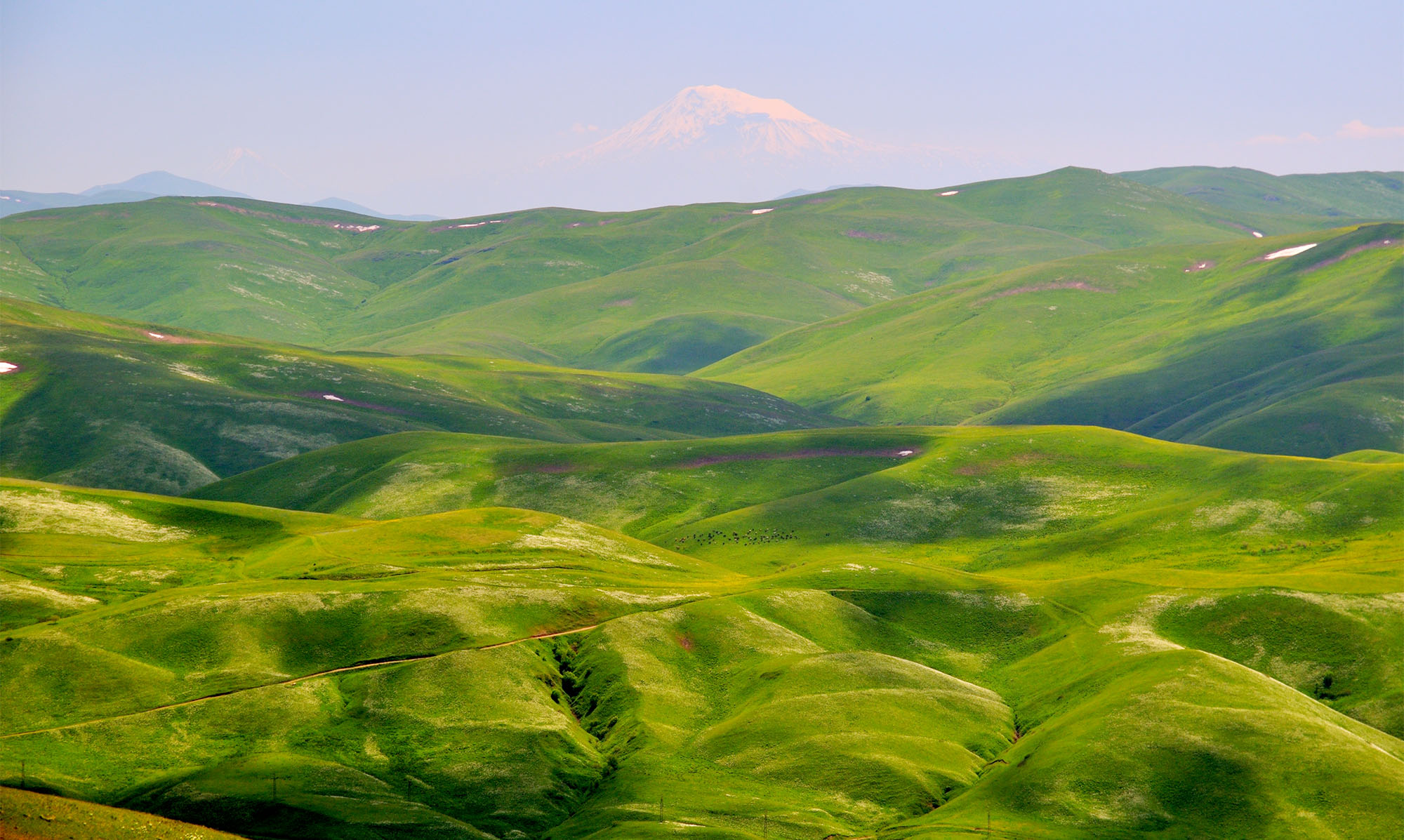 Ararat