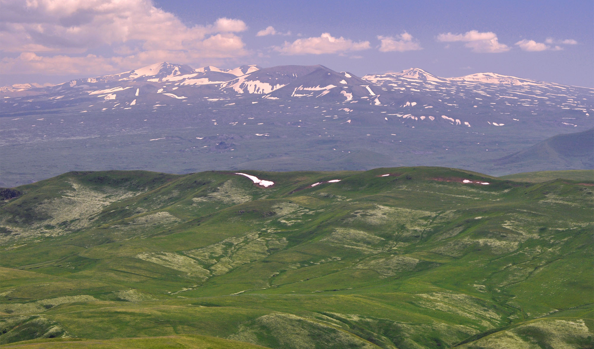 Mountain meadows in Semyonovka environs