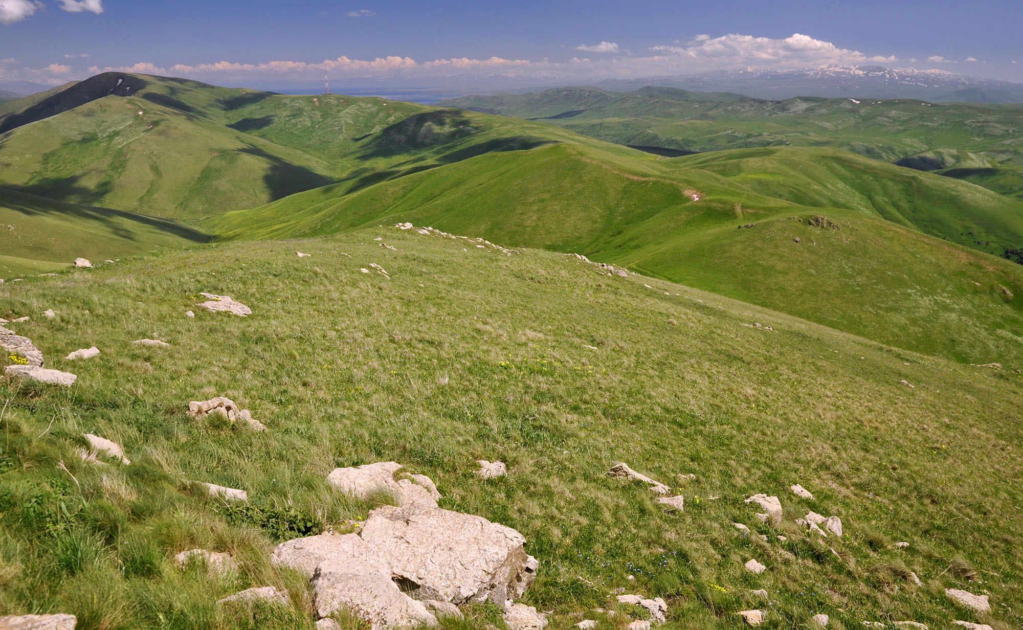 Mountain meadows in Semyonovka environs