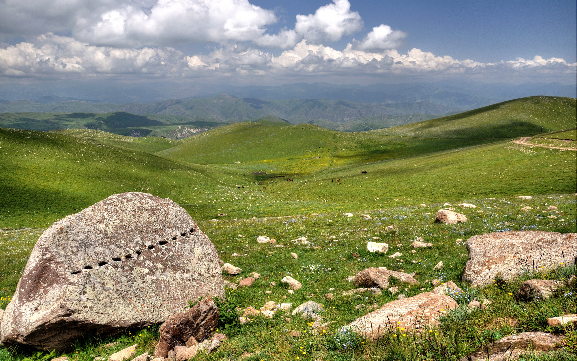 Mountain meadows in Vaghatur environs