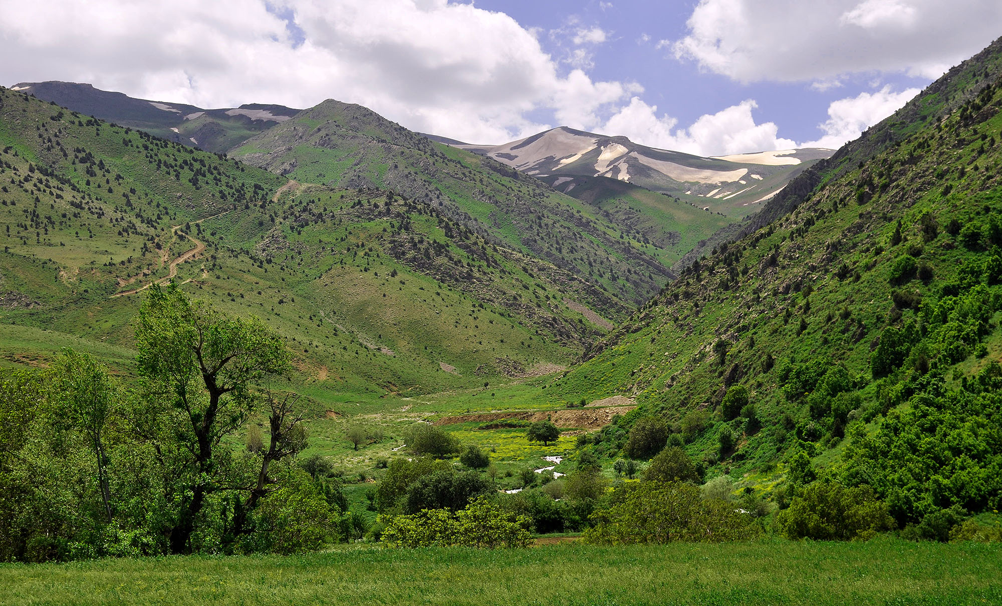 Mountain valley in Güreşçi environs