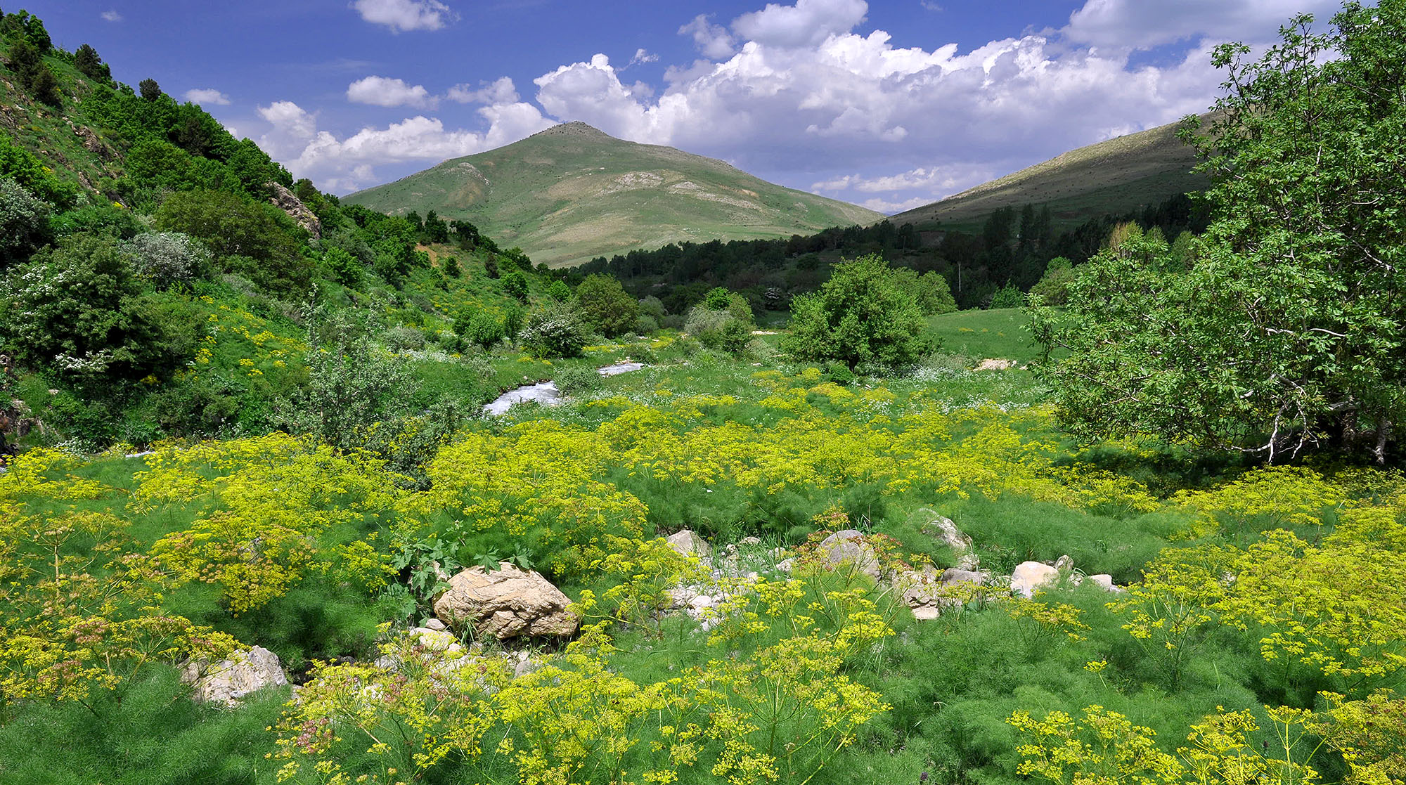 Mountain valley in Güreşçi environs