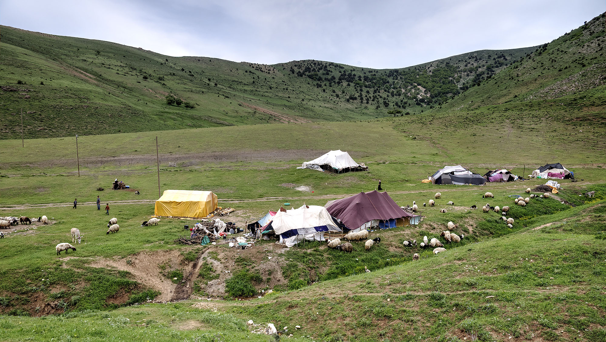 summer camp of Kurdish shepheds