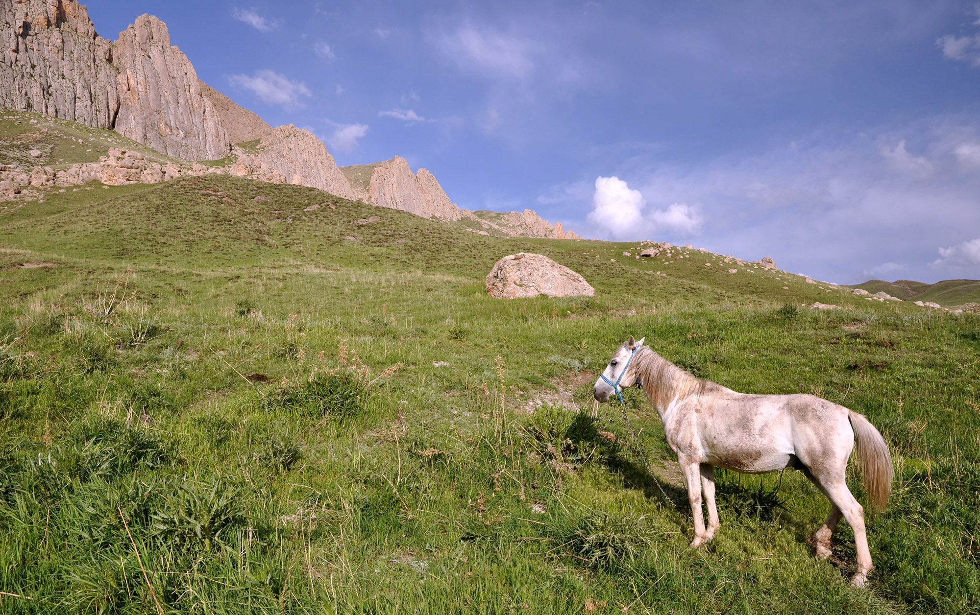 Mountain rock steppe in Ishak Pasha environs