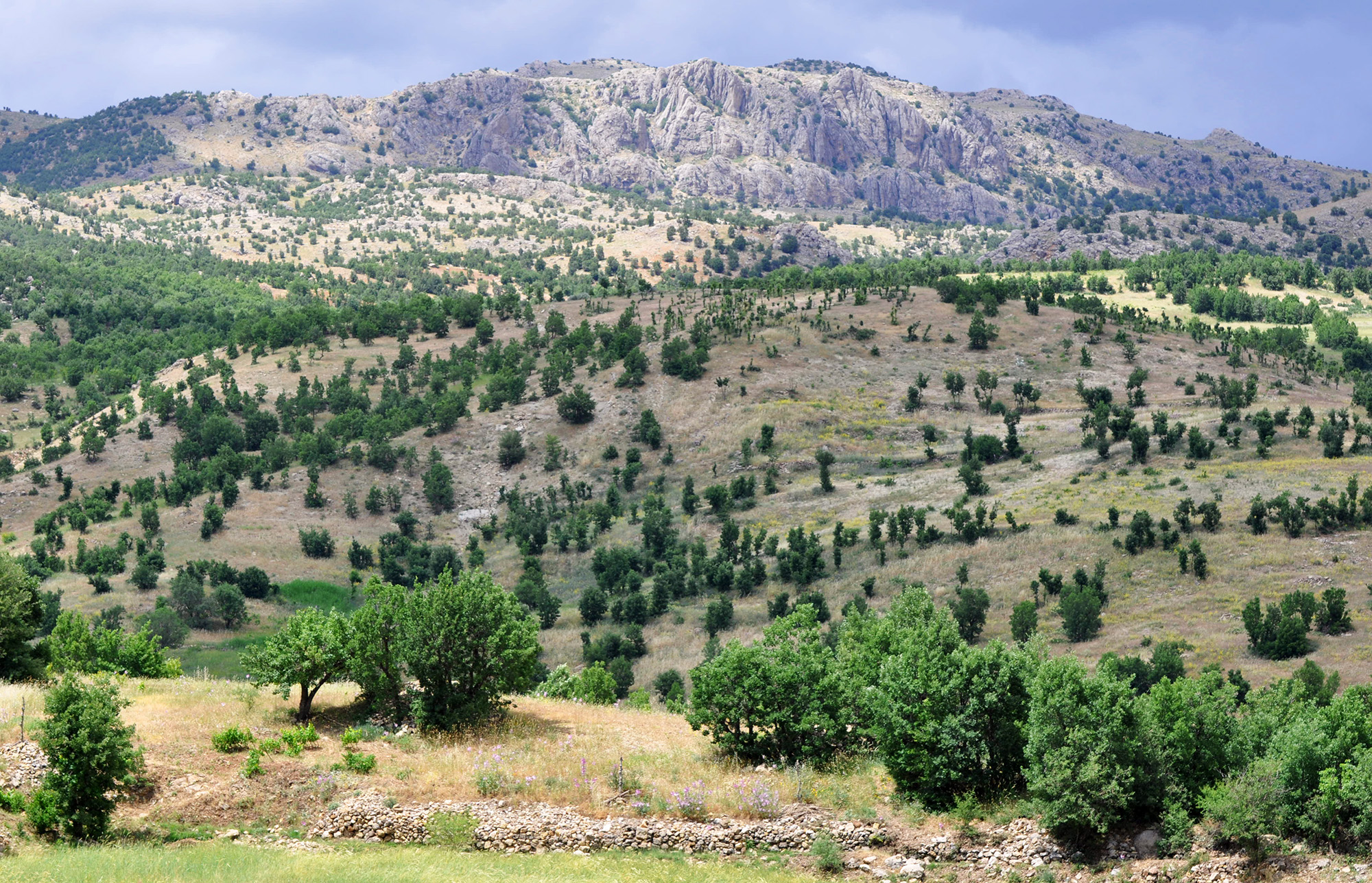 Karadut village environs