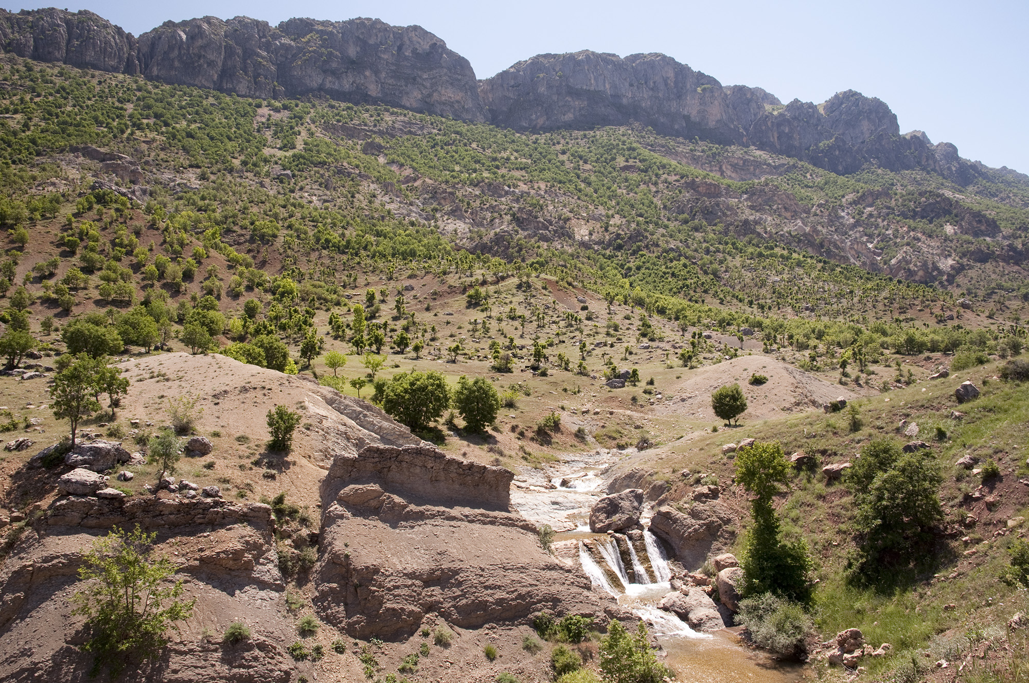 Karadut village environs