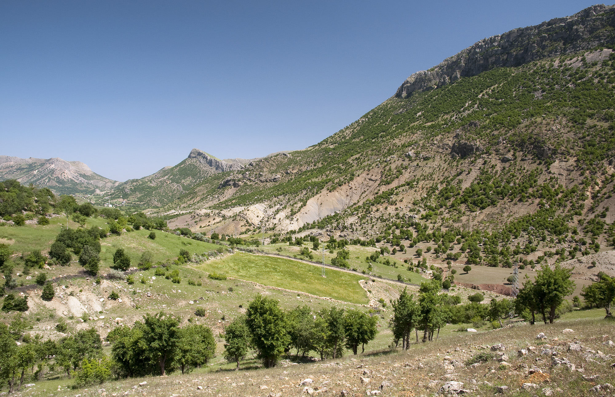 Karadut village environs
