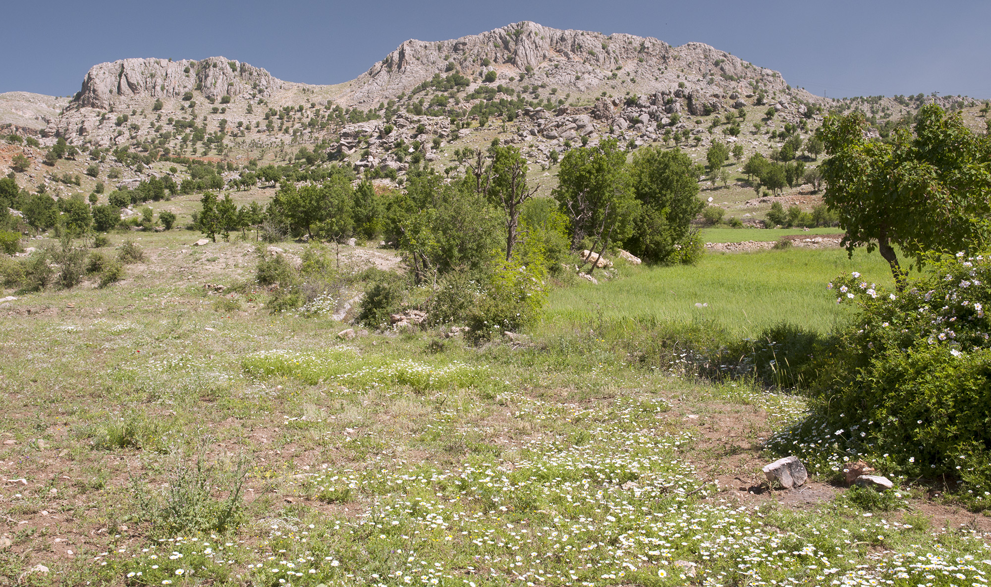 Karadut village environs