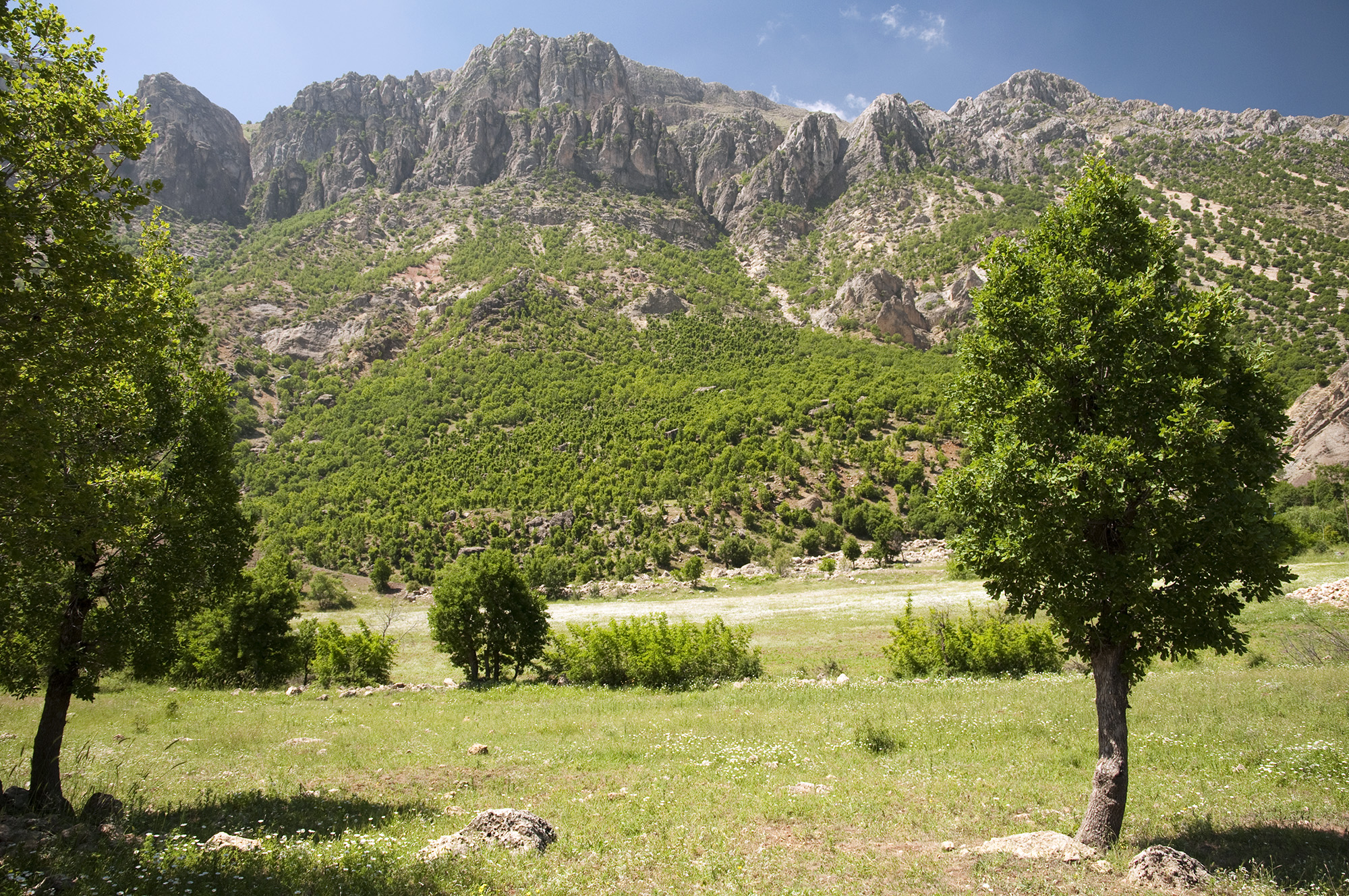 Karadut village environs