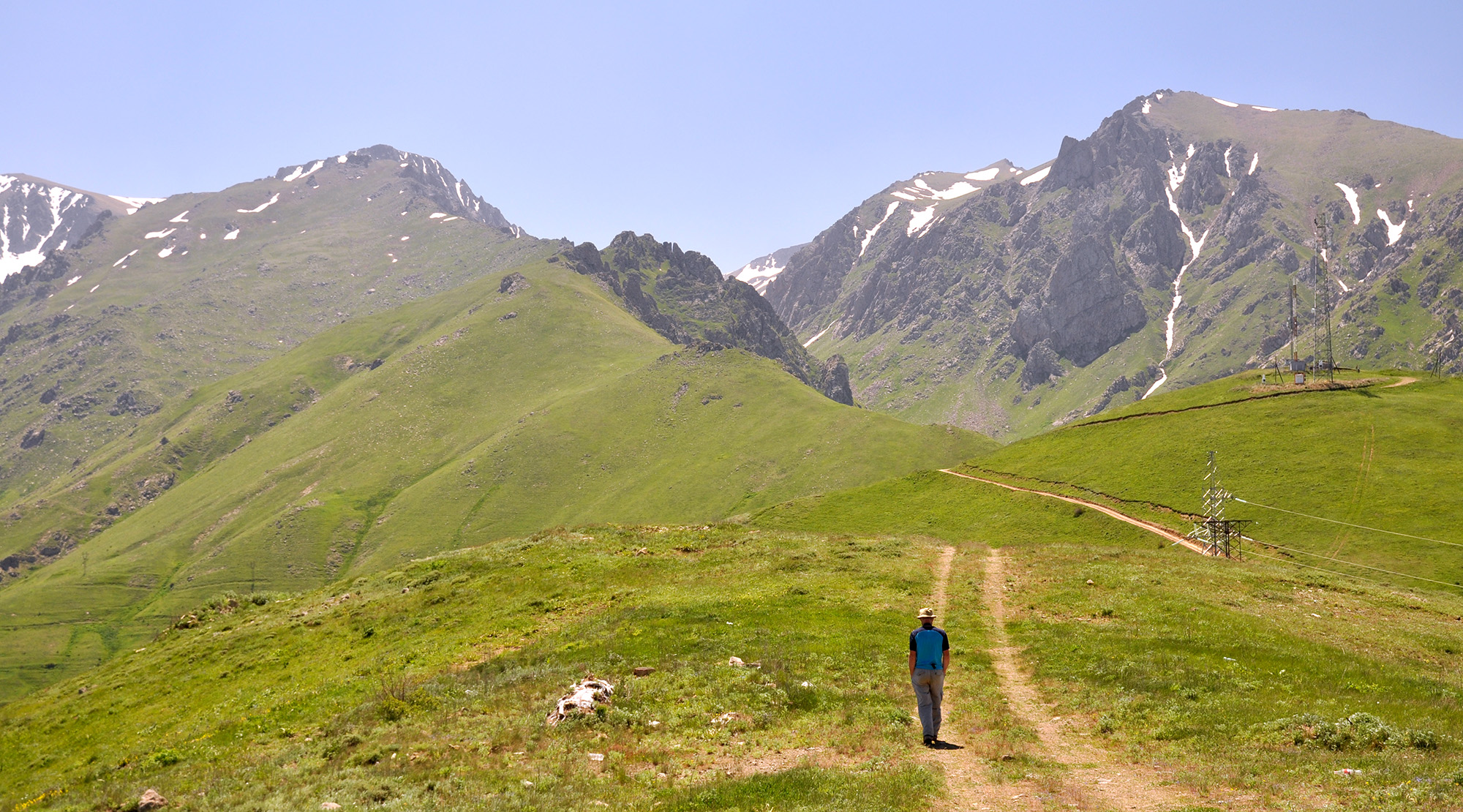 Mountain meadows in Kajaran environs